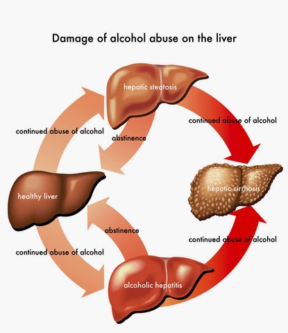 crestor and liver damage treatment